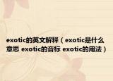 exotic的英文解释（exotic是什么意思 exotic的音标 exotic的用法）
