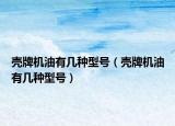 壳牌机油有几种型号（壳牌机油有几种型号）