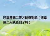 违章是第二天才能查到吗（违章第二天就查到了吗）