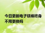 今日更新电子镁棒终身不用更换吗