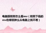 电脑版酷狗怎么看mv（酷狗下载的mv在哪里肿么从电脑上找不着）