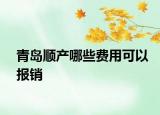 青岛顺产哪些费用可以报销