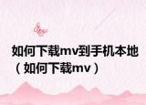 如何下载mv到手机本地（如何下载mv）