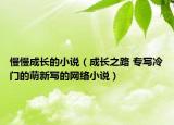 慢慢成长的小说（成长之路 专写冷门的萌新写的网络小说）