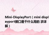 Mini-DisplayPort（mini displayport接口是干什么用的 求详解）