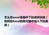 怎么在excel表格中下拉选项添加（如何在Excel的单元格中加入下拉选项）