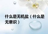 什么是无机盐（什么是无意识）