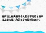 房产证上有夫妻两个人的名字离婚（房产证上是夫妻共有的名字离婚时怎么分）