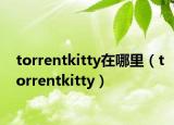 torrentkitty在哪里（torrentkitty）