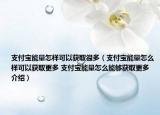 支付宝能量怎样可以获取很多（支付宝能量怎么样可以获取更多 支付宝能量怎么能够获取更多介绍）