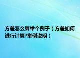 方差怎么算举个例子（方差如何进行计算?举例说明）