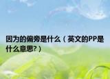 因为的偏旁是什么（英文的PP是什么意思?）
