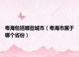 粤海包括哪些城市（粤海市属于哪个省份）