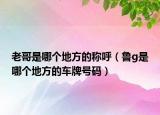 老哥是哪个地方的称呼（鲁g是哪个地方的车牌号码）