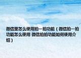 微信里怎么使用拍一拍功能（微信拍一拍功能怎么使用 微信拍拍功能如何使用介绍）