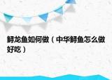 鲟龙鱼如何做（中华鲟鱼怎么做好吃）
