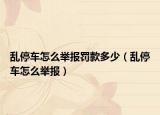 乱停车怎么举报罚款多少（乱停车怎么举报）