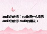 audit的音标（audit是什么意思 audit的音标 audit的用法）