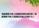 有配偶者与他人同居的民事法律后果（有配偶者与他人同居的法律认定是什么）