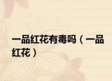 一品红花有毒吗（一品红花）