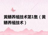 黄鳝养殖技术第1集（黄鳝养殖技术）
