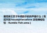 屋塔房王世子朴荷的手机铃声是什么（我找不到 housepriencelove 还有噢啦恰恰 - Rumble Fish.wma）