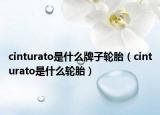 cinturato是什么牌子轮胎（cinturato是什么轮胎）