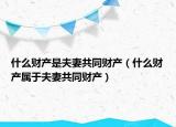 什么财产是夫妻共同财产（什么财产属于夫妻共同财产）