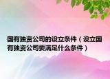 国有独资公司的设立条件（设立国有独资公司要满足什么条件）