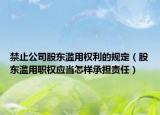禁止公司股东滥用权利的规定（股东滥用职权应当怎样承担责任）