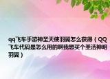 qq飞车手游神圣天使羽翼怎么获得（QQ飞车代码是怎么用的啊我想买个圣洁神明羽翼）