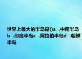 世界上最大的半岛是()a  .中南半岛b  .印度半岛c  .阿拉伯半岛d  .朝鲜半岛