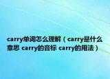 carry单词怎么理解（carry是什么意思 carry的音标 carry的用法）