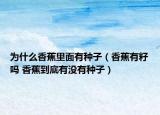 为什么香蕉里面有种子（香蕉有籽吗 香蕉到底有没有种子）