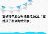 离婚孩子怎么判抚养权2021（离婚孩子怎么判给父亲）