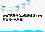 svs灯亮是什么故障柴油版（svs灯亮是什么故障）