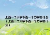 上面一个大字下面一个力字念什么（上面一个大字下面一个力字念什么）