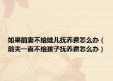 如果前妻不给娃儿抚养费怎么办（前夫一直不给孩子抚养费怎么办）