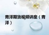 青泽期货视频讲座（青泽）