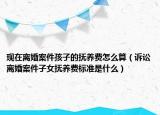 现在离婚案件孩子的抚养费怎么算（诉讼离婚案件子女抚养费标准是什么）