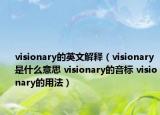 visionary的英文解释（visionary是什么意思 visionary的音标 visionary的用法）