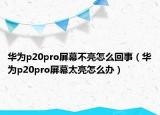华为p20pro屏幕不亮怎么回事（华为p20pro屏幕太亮怎么办）