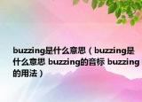 buzzing是什么意思（buzzing是什么意思 buzzing的音标 buzzing的用法）