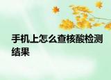 手机上怎么查核酸检测结果