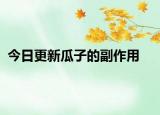 今日更新瓜子的副作用
