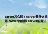 carver怎么读（carver是什么意思 carver的音标 carver的用法）