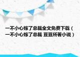 一不小心嫁了总裁全文免费下载（一不小心嫁了总裁 豆豆所著小说）
