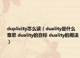 duplicity怎么读（duality是什么意思 duality的音标 duality的用法）