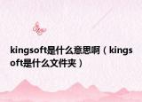 kingsoft是什么意思啊（kingsoft是什么文件夹）