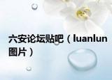 六安论坛贴吧（luanlun图片）